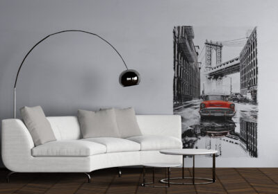 A mural of a cardilac in a city.